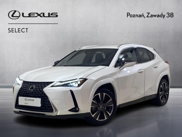 Lexus UX 2025 Lexus UX 300h Omotenashi Lexus UX 300h Omotenashi,