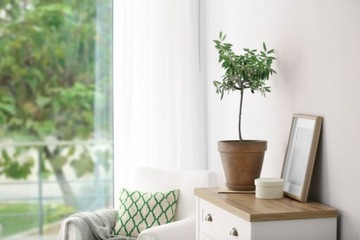 Гель минеральное удобрение для олеандров Agrecol 250мл