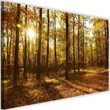 Obraz na płótnie 120x80 w lesie promienie słońca