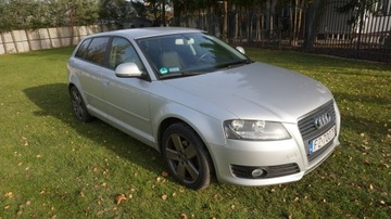 Audi A3 8P Hatchback 3d 1.6 TDI 90KM 2009 Audi A3 Sportback super stan. Gwarancja. Polecam!!, zdjęcie 3
