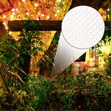SNAIL SAFETY NET, PRACTICAL SIA