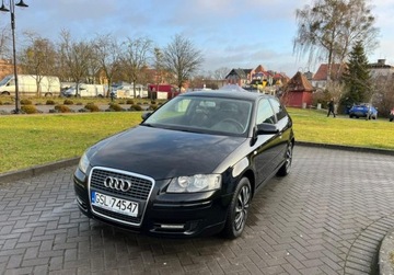 Audi A3 8P Hatchback 3d 1.9 TDI 105KM 2006 Audi A3 3-drzwiowe Nowe Sprzeglo kolo dwumasowe. 1.9 Diesel 105KM, zdjęcie 3