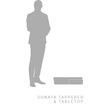 ЦВЕТОЧНЫЙ ГОРШОК ЦВЕТОЧНАЯ КОРЗИНКА ЦВЕТОЧНАЯ КОРЗИНА подоконник балкон терраса большая длина 61см