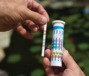 Тетра пруда Тест 6IN1, установленные для швов 25 шт.