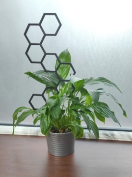 2x ПОДДЕРЖКА ДЛЯ ЦВЕТОВ МЕДОВАЯ ПЕРГОЛА 37см