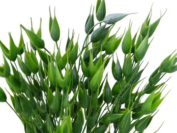 ИСКУССТВЕННЫЕ ЦВЕТЫ РАСТЕНИЯ БУКЕТ ПЛОТНЫЕ КРЕМОВЫЕ ЛИСТЬЯ