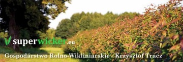 Mata wiklinowa 150x500 + opaski do montażu gratis