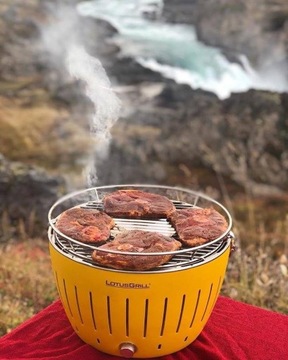 LOTUSGRILL MINI НА БАЛКОН МАЙСКИЕ ПОЕЗДКИ