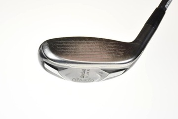 Кливленд Блэк Гибрид №3 19°