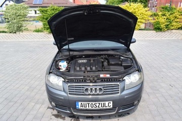 Audi A3 8P Hatchback 3d 1.9 TDI 105KM 2005 Audi A3 1.9 TDI, 3-drzwi, Zarejestrowany, Eko, Klima, Alu, Rok Gwarancji, zdjęcie 11