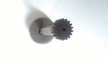 ГАРЕЛЛИ ГАРЕЛЛИ ПОНИ БЕЛУГА ACTIVE GEARS