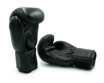 ПЕРЧАТКИ ДЛЯ БОКСЕРСКОГО СПАРИНГА EVOLUTION PRO, 10 УНЦИЙ