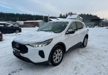 Ford Kuga III 2024 Ford Kuga 2024 Ford Kuga Active - w Polsce po oplatach i akcyzie 1.6 182KM