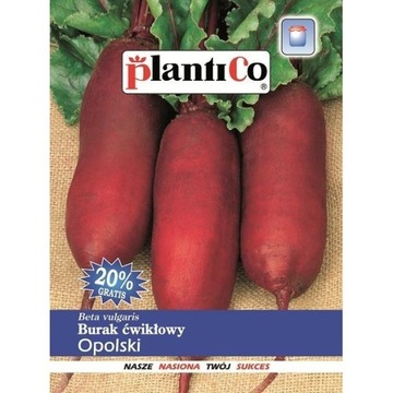 BURAK ĆWIKŁOWY OPOLSKI 10G