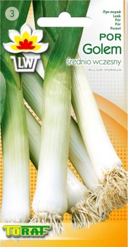 POR średnio wczesny GOLEM Toraf