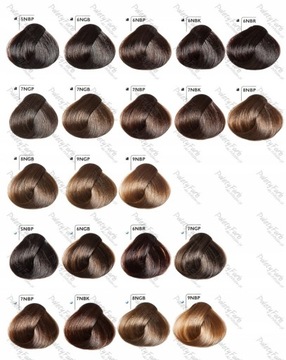 GOLDWELL TOPCHIC КРАСКА 60 мл + ОКИСЛИТЕЛЬ 60 мл