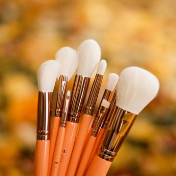 Набор кистей для макияжа Fresh IBRA Makeup