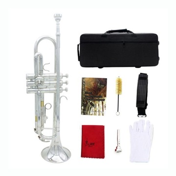 1 zestaw profesjonalnych instrumentów dętych