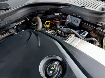 АВТООТПУСКАТЕЛЬ ОТ МЫШЕЙ, КРЫС, ГРЫЗУНОВ