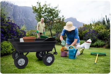 Тачка Barrow, садовая транспортная тележка, самосвал, 3в1