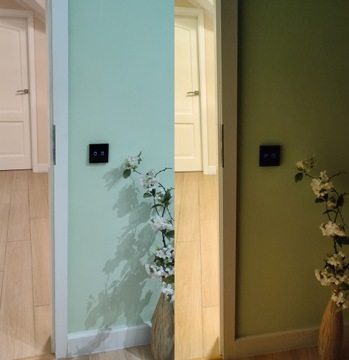 2-контурный сенсорный переключатель TUYA ZigBee. черный #без Н