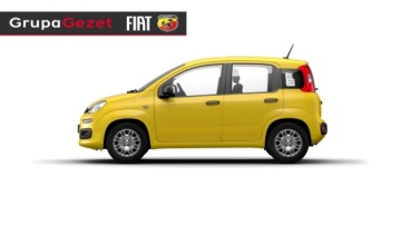 Fiat Panda III 2026 Fiat Panda Pandina Icon 1.0 70 KM, zdjęcie 2