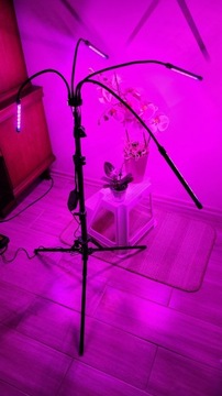 Большая боковая лампа, 4 светодиодных штатива, дистанционное управление, выращивание растений + бесплатно