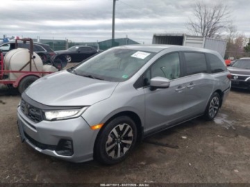 Honda Odyssey IV 2026 Honda Odyssey Ex-L 2026 3.5 Benzyna 280KM, zdjęcie 1