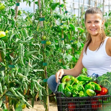 Taśma rzep do kwiatów pomidorów wiązania roślin krzewów drzewek 100cm 1m