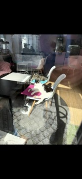 BMW Seria 1 F40 2023 BMW 118 1.5 12V TwinPower 136KM tylko 46tys km!!!, zdjęcie 16