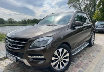 Mercedes Klasa M W166 Off-roader 350 BlueTEC 4MATIC 258KM 2014 Mercedes-Benz ML Mercedes-Benz ML 3.0 Diesel 258KM, zdjęcie 7