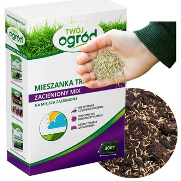 TRAWA NASIONA 1KG na tereny miejsca zacienione do cienia SAMOZAGĘSZCZAJĄCA