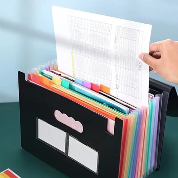 ПАПКА-ОРГАНИЗАТОР ARMONIUM ДЛЯ ДОКУМЕНТОВ A4 XL, 25 ЧАСТЕЙ