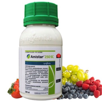 AMISTAR 250SC 200ml GRZYBOBÓJCZY PLEŚŃ RDZA CZERŃ