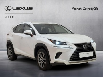 Lexus NX I SUV Facelifting 300h 197KM 2019 Lexus NX 300h Business Edition AWD I (2014-2021) L, zdjęcie 7