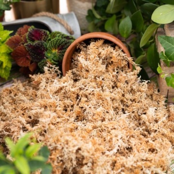 SPAGNUM MOSS - Сфагнум Мосс Лучшее натуральное средство для укоренения - 1л мертвый