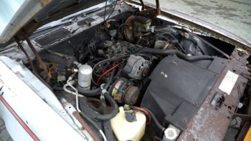 Pontiac Firebird II 1981 Pontiac Firebird / Trans Am 1981 – 3.8 V6, zdjęcie 15