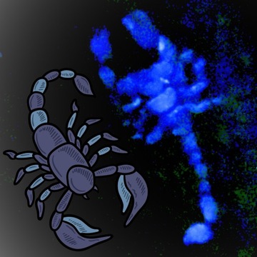 НАБОР БОЛЬШИХ ТАТУ С БЛЕСКАМИ ШАБЛОНЫ ТАТУ С БЛЕСКАМИ XXXL