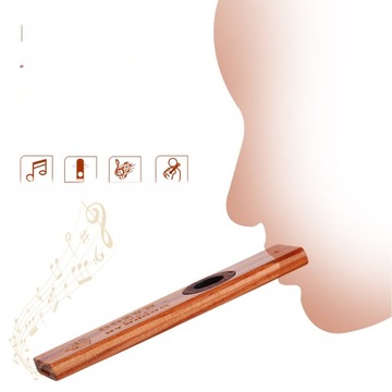 KAZOO ДЛЯ ВСЕХ ВОЗРАСТОВ МУЗЫКА ДЛЯ ДЕТЕЙ УКУЛЕЛЕ PARTNER FLET KAZOO