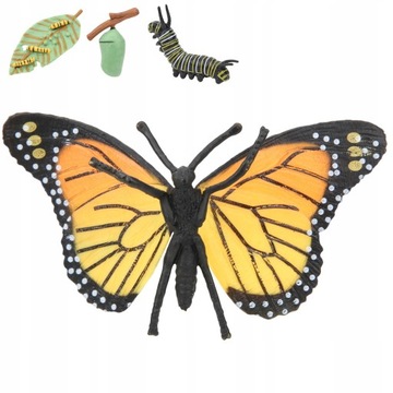 Model owada zabawka cykl wzrostu Model motyla