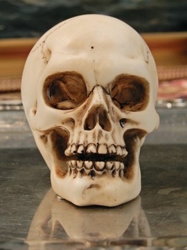 ЧЕРЕП MEMENTO MORI: БЫТЬ ИЛИ НЕ БЫТЬ ПОСВЯЩЕНИЕ