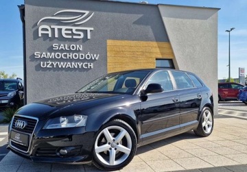 Audi A3 8P Hatchback 3d 1.9 TDI 105KM 2009 Audi A3 1.9Tdi Klimatronik Tempomat 5drzwi Alu...