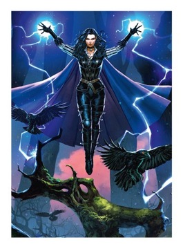 Ведьмак (Ведьмак) 3: Юбилейная охота