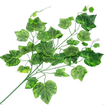 ЛИСТЬЯ ВИНОГРАДНЫЕ ЛИСТЬЯ ВЕТКА ВИНОГРАДА 75см