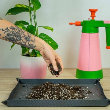 Субстрат для Калатеи Маранты Строманте ПРЕМИУМ