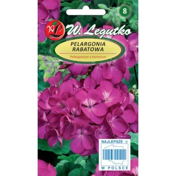 Pelargonia GAMA F1 FIOLETOWA 0,03g