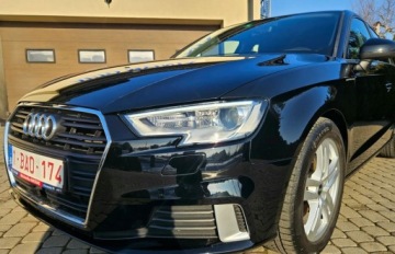 Audi A3 8V 2017 Audi A3 Sportback QUATTRO, 184, KM, Automat, Niski przebieg 2.0 Diesel, zdjęcie 15