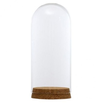5X 8x18 cm Pokrywa Cloche Jar Soczyste