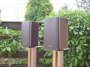 Technics SB-S500 2 сателлита 200 Вт Колоночные динамики
