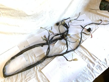 Жгут проводов Malaguti F12